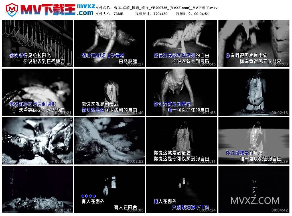 曹羊-喜渡_国语_流行_YE200736